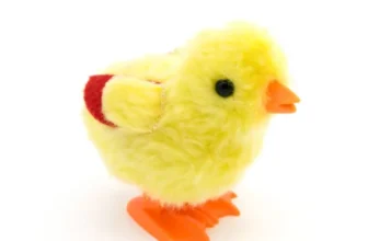 What Are the Benefits of Foraging Toys for Birds?